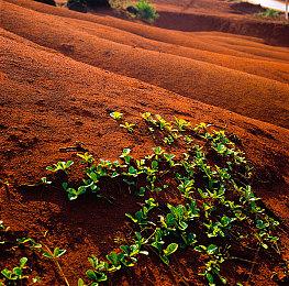 欧盟委员会驳斥FTC：微软并未违背收购承诺